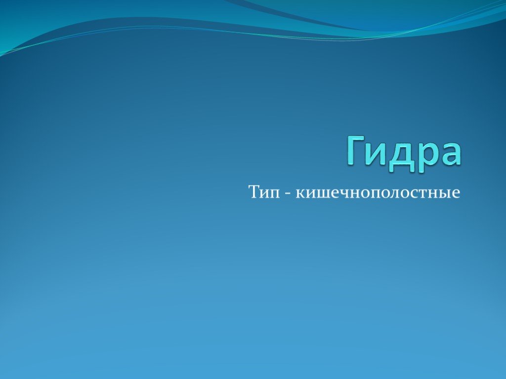 Kraken даркнет что это