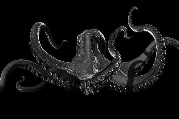 Kraken krn