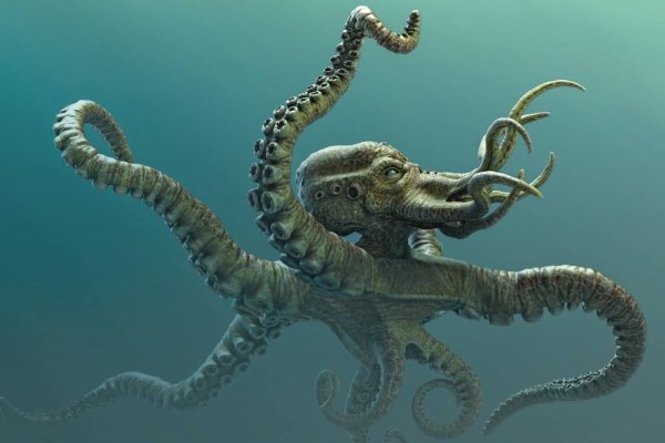 Kraken 18 at