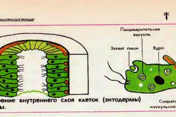 Короткая ссылка на кракен