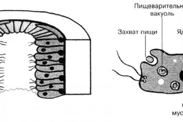 Официальный сайт кракен тор